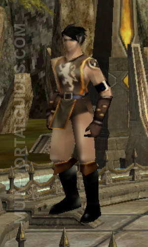 Dark Knight Selection Screen