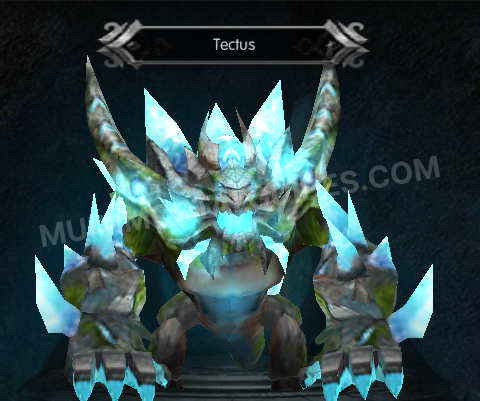 Tectus