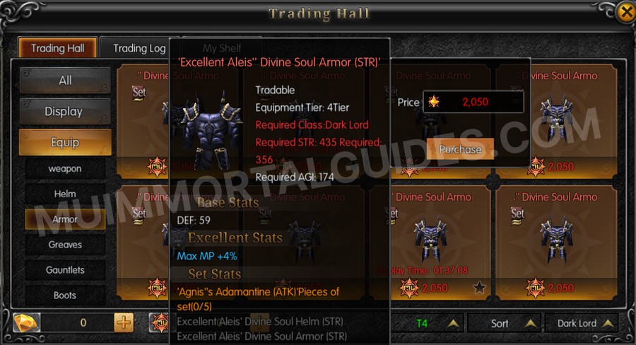 In-game screenshot of Excellent Aleis' Divine Soul Armor (STR) tooltip
