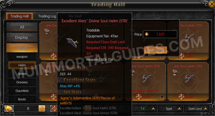 In-game screenshot of Excellent Aleis' Divine Soul Helm (STR) tooltip