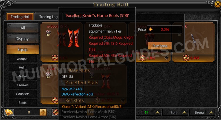 In-game screenshot of Excellent Kevin's Flame Boots (STR) tooltip