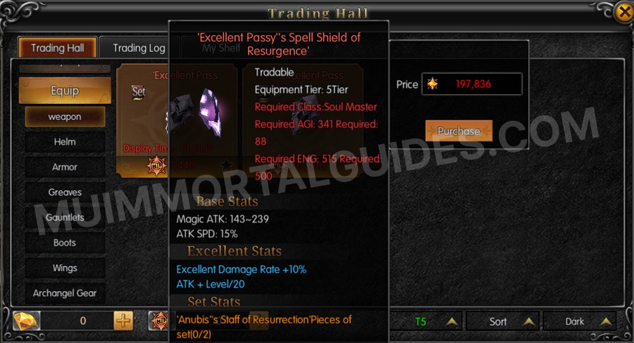 In-game screenshot of Excellent Passy's Spell Shield of Resurgence tooltip