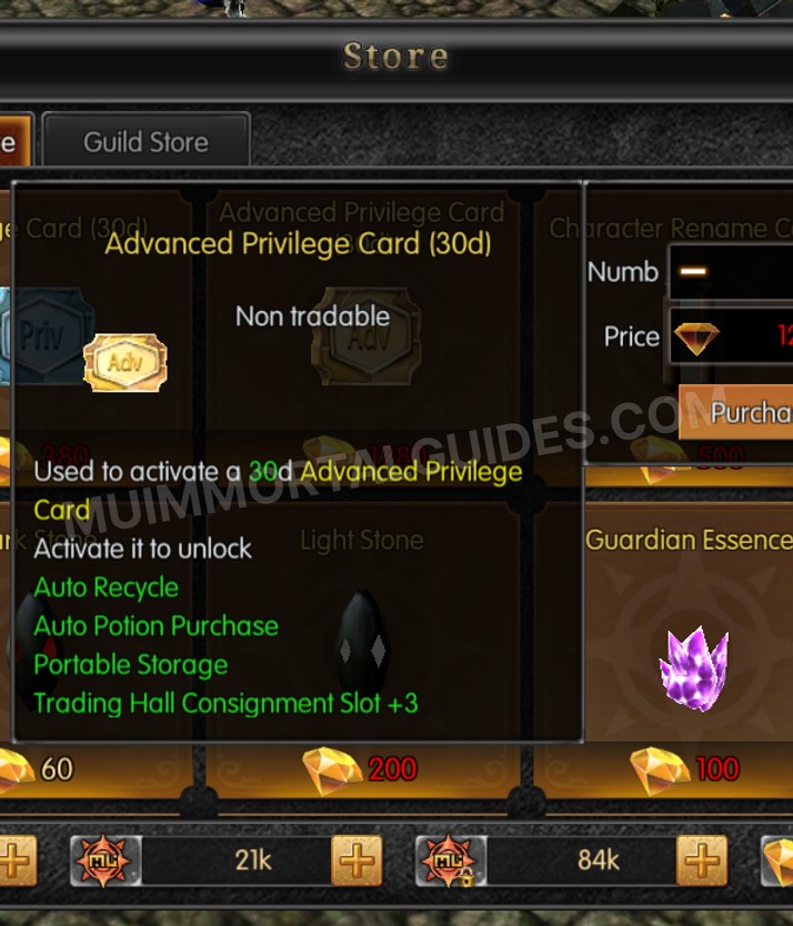 Screenshot of Advanced Privilege Card (30d)