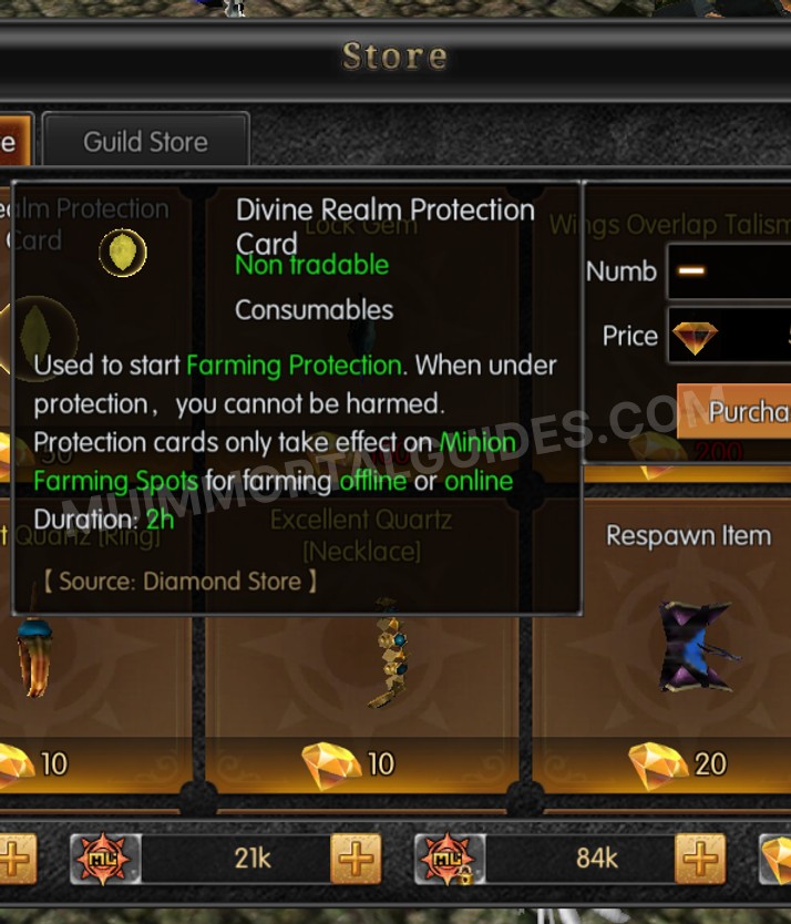 Screenshot of Divine Realm Protection Card