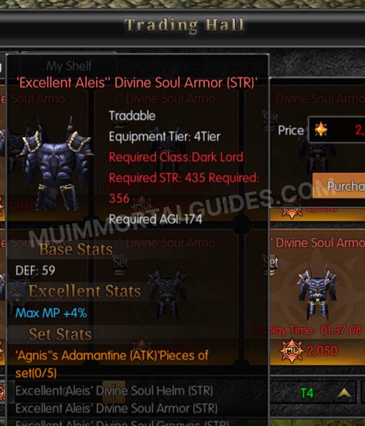 Screenshot of Excellent Aleis' Divine Soul Armor (STR)