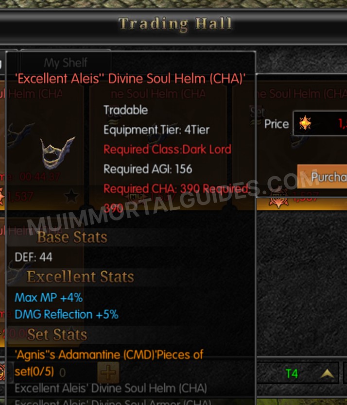 Screenshot of Excellent Aleis' Divine Soul Helm (CHA)