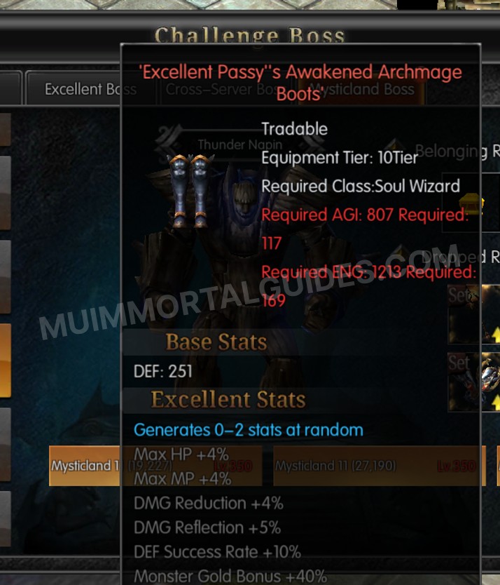 Screenshot of Excellent Passy's Awakened Archmage Boots