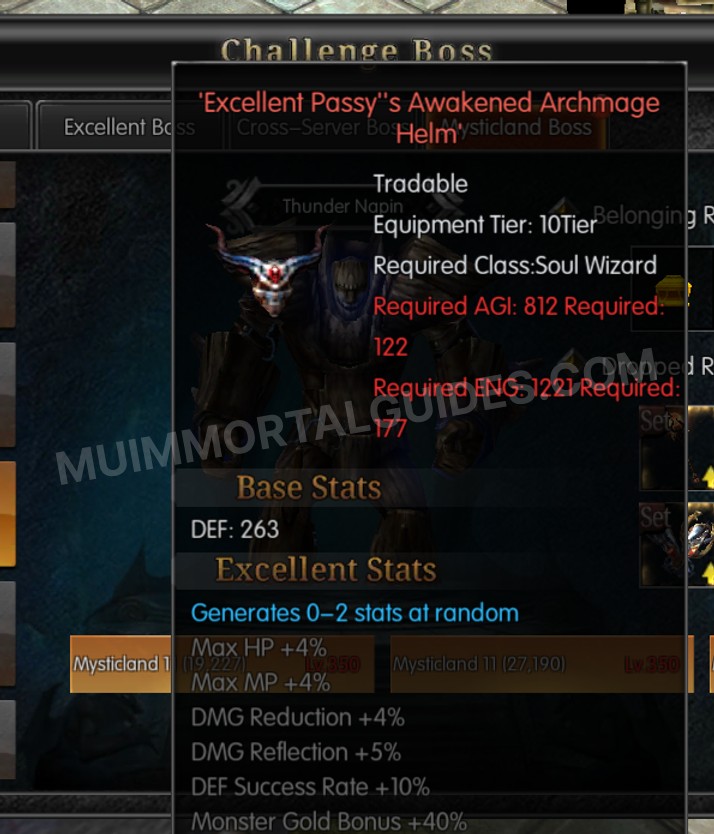 Screenshot of Excellent Passy's Awakened Archmage Helm