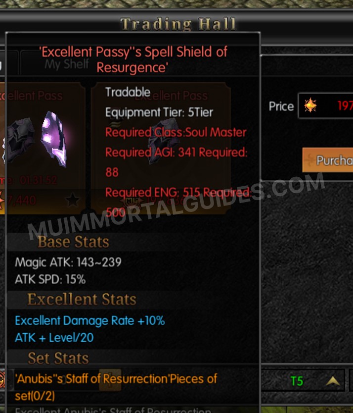 Screenshot of Excellent Passy's Spell Shield of Resurgence