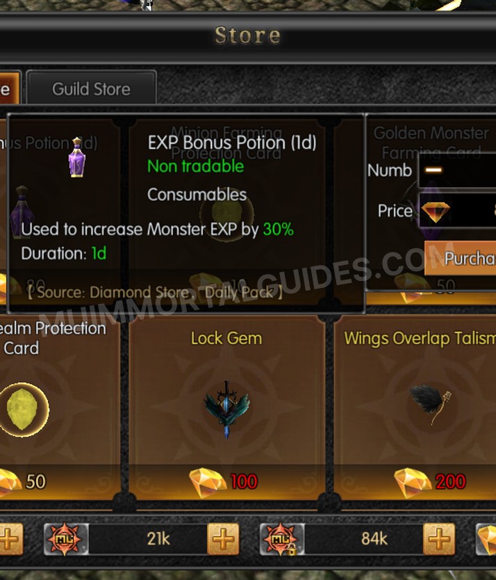 Screenshot of EXP Bonus Potion (Id)