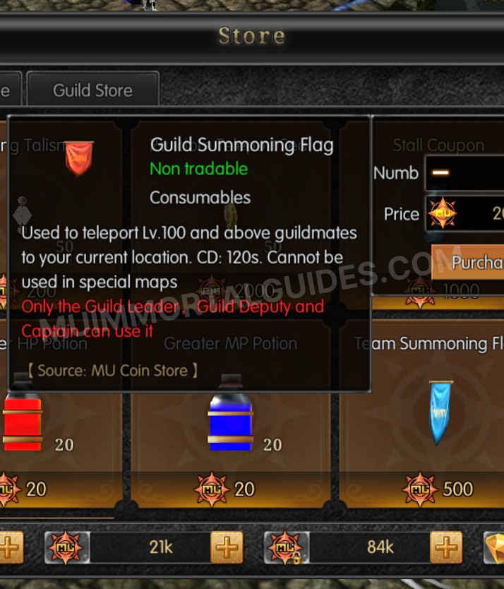 Screenshot of Guild Summoning Flag