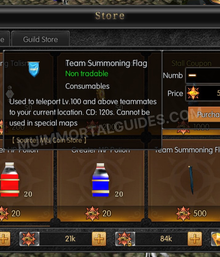 Screenshot of Team Summoning Flag
