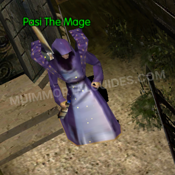 Pasi The Mage
